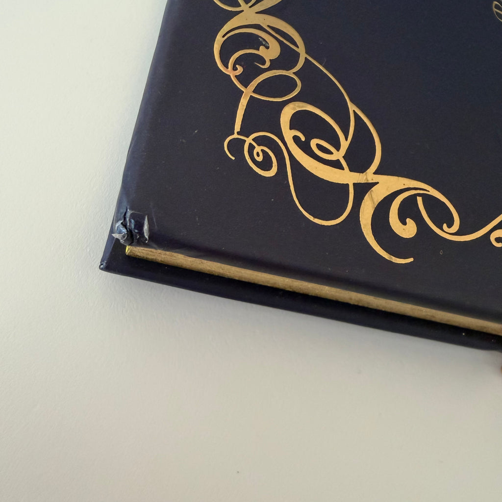 Butterfly magic notebook